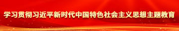 鸡巴猛插网站学习贯彻习近平新时代中国特色社会主义思想主题教育